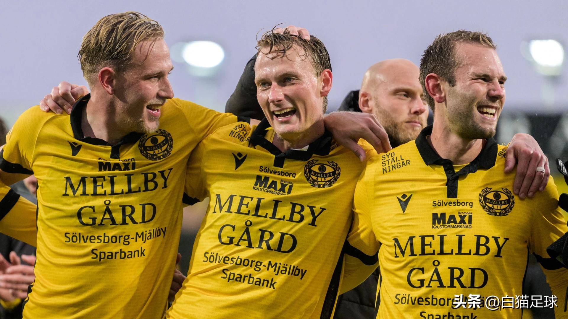 包含热点赛果揭晓：瑞典队惊险晋级的词条