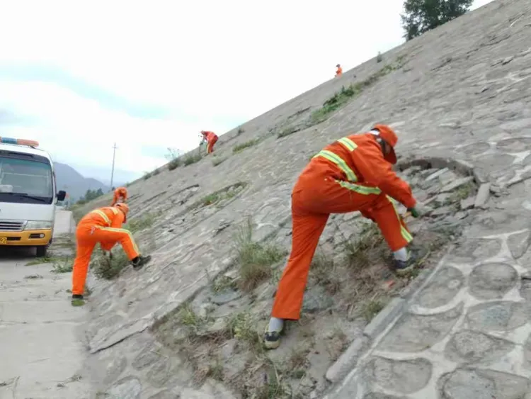 青海队备战全力以赴，为新赛季努力的简单介绍