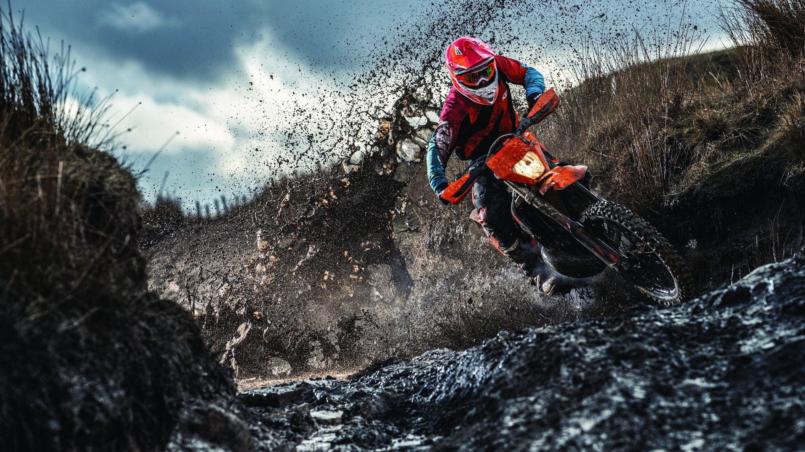 跨界制霸，从公牛黄蜂的赛场博弈，到哈登欧冠半决赛的接管艺术